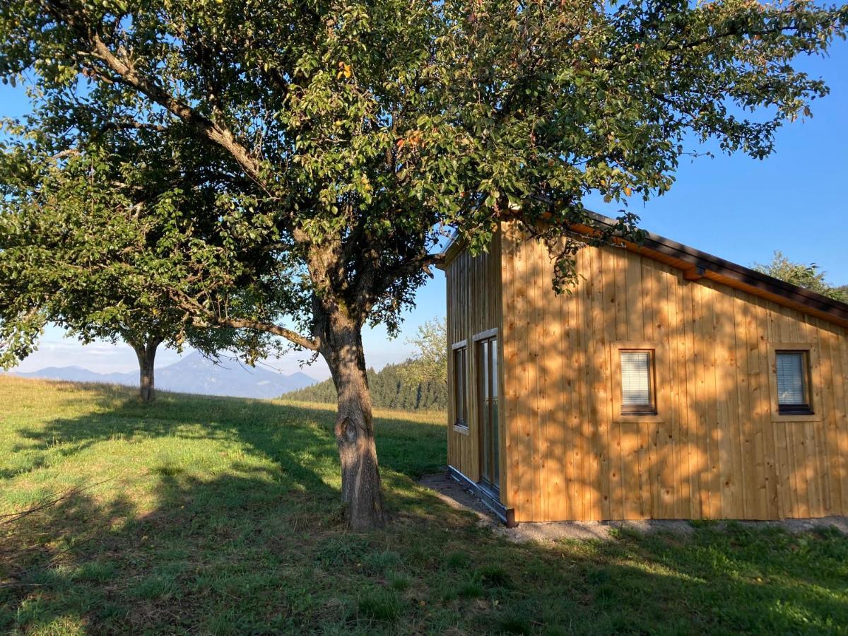 Willa Tiny House Mislinja Zewnętrze zdjęcie