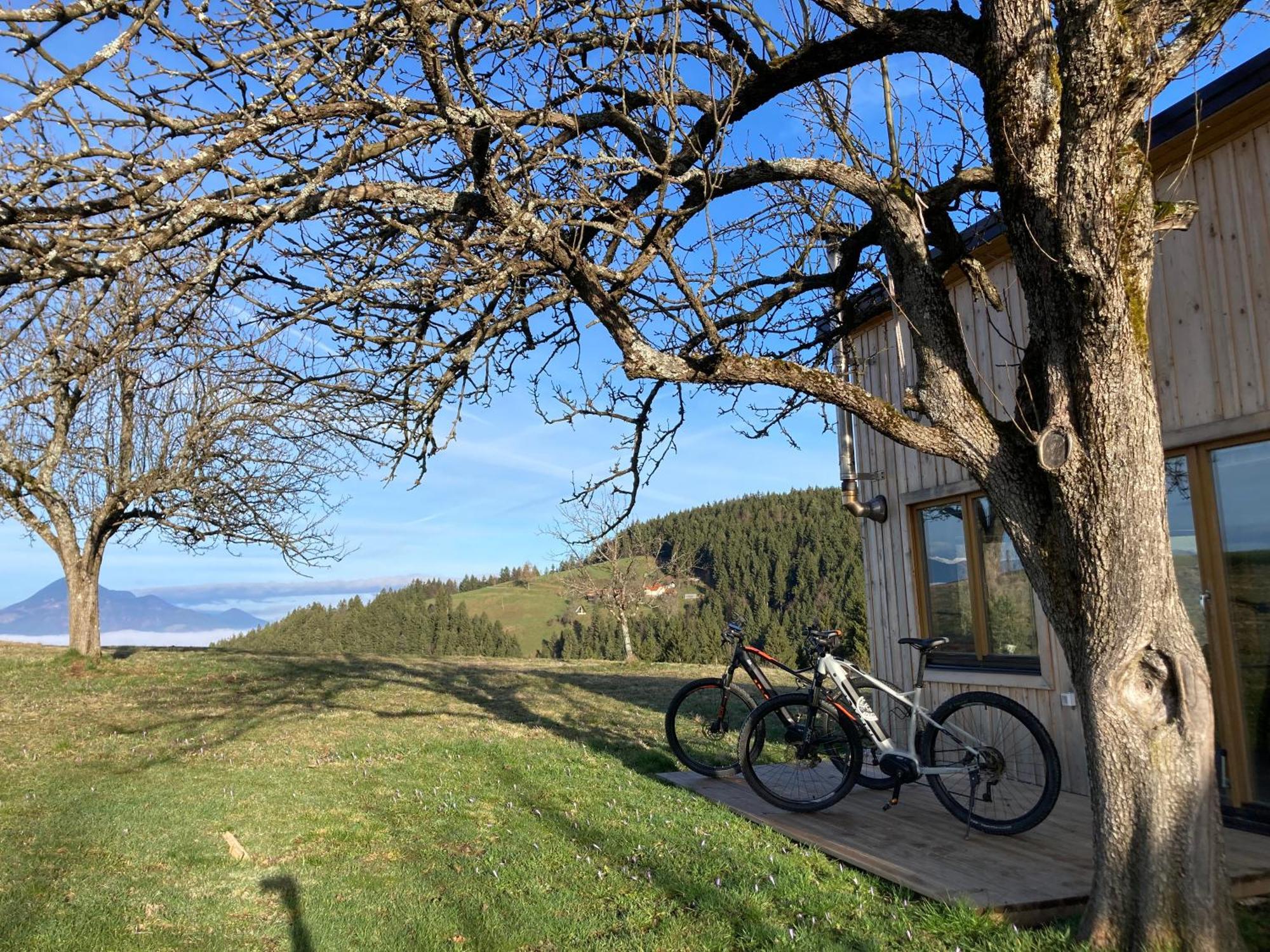 Willa Tiny House Mislinja Zewnętrze zdjęcie